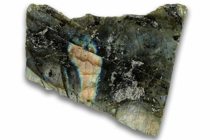 Single Side Polished Labradorite Section - Madagascar #324688